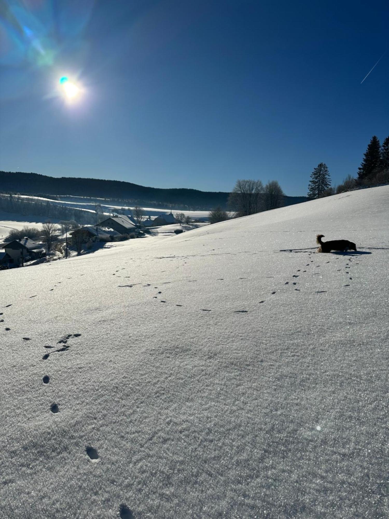 Le Belvedere Des Deux Lacs Le Brey et Maison du Bois Екстериор снимка